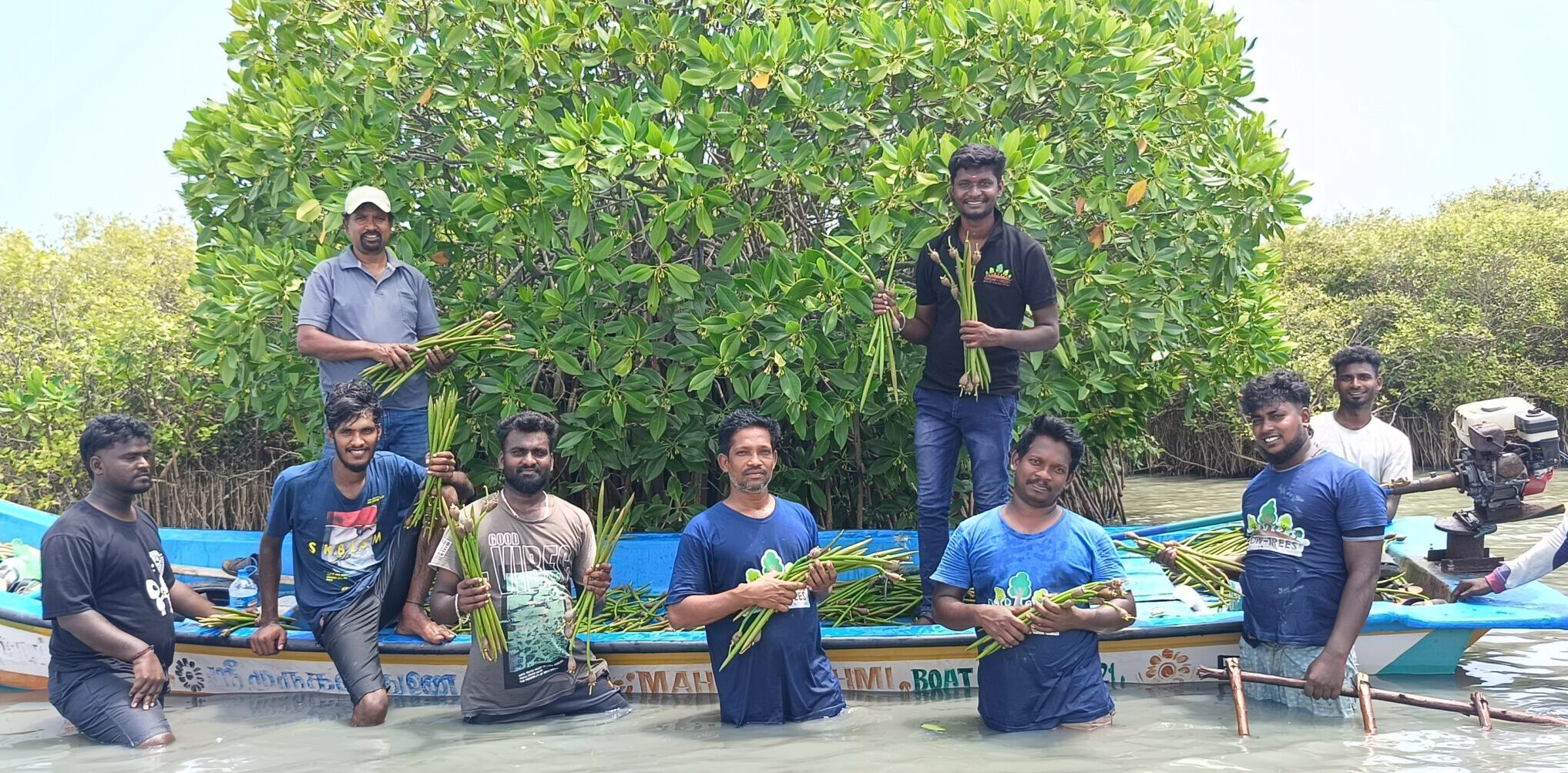 Community engagement in Mangrove seed collection