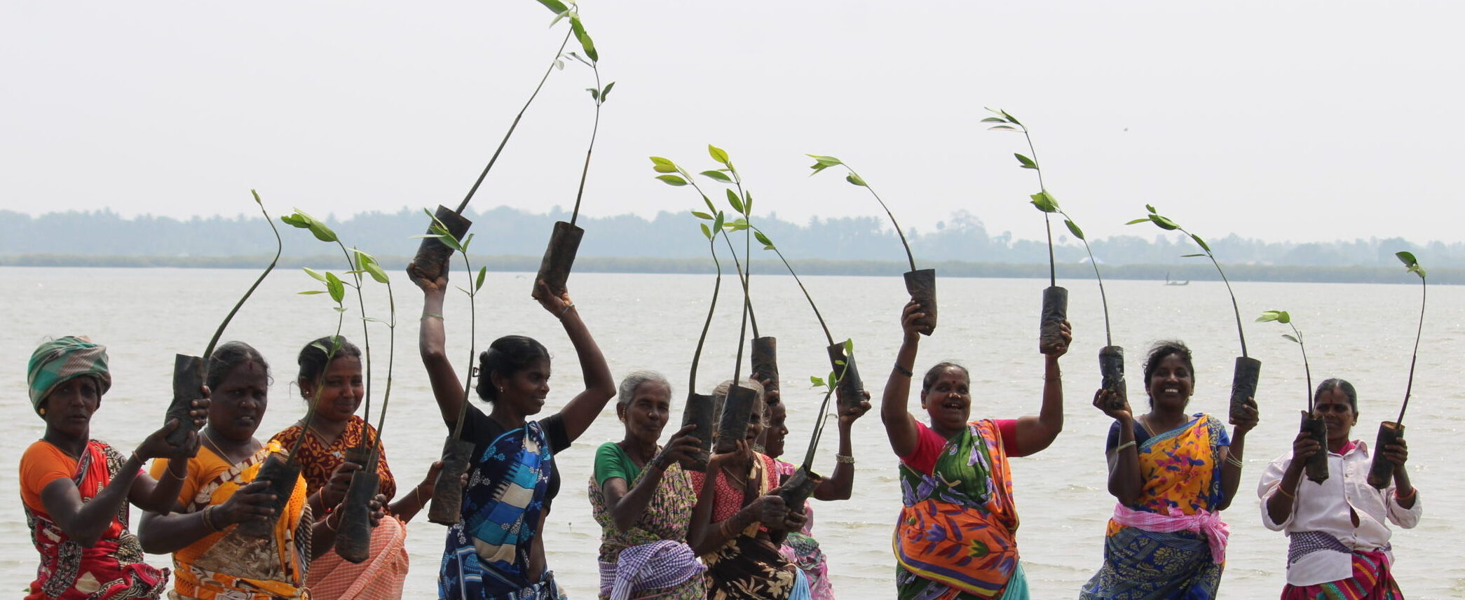 Community Engagement in Mangrove restoration