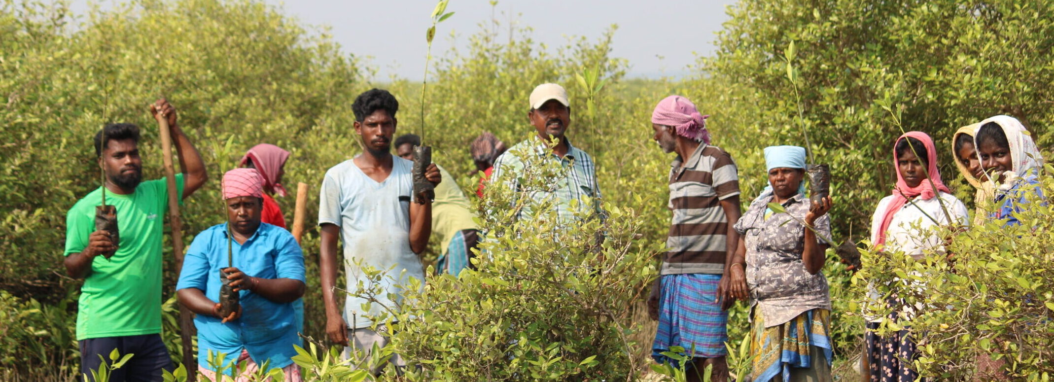 Fishing community participation in mangrove plantation